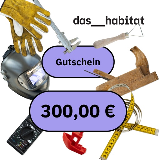 Online Gutschein 300